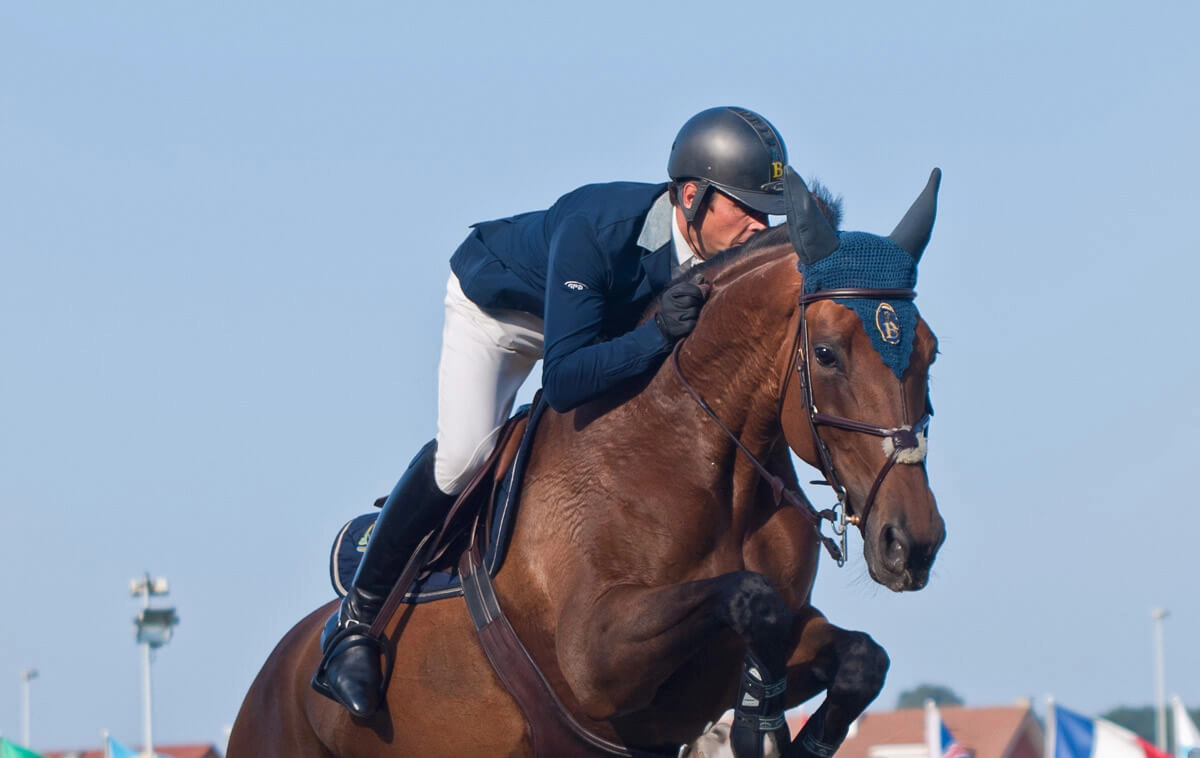 commerce-de-chevaux-2 commerce-de-chevaux-2