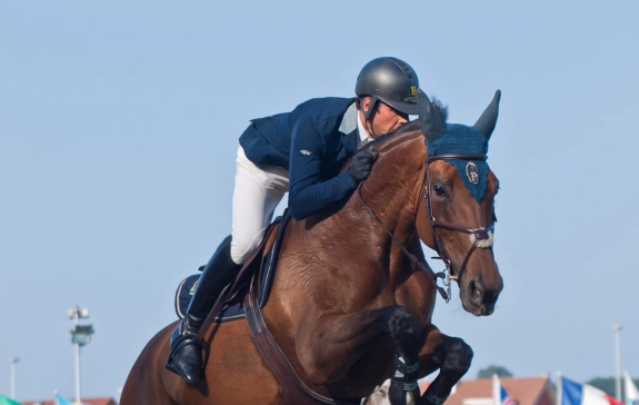 commerce-de-chevaux-2